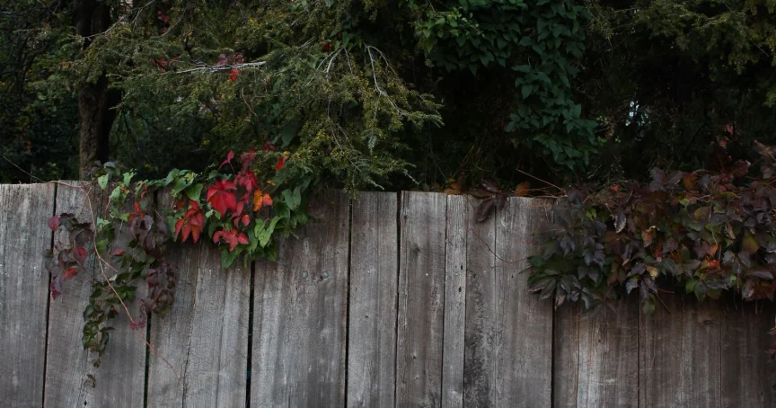 Accountability Partner Training #6: The Long-Term Change Process