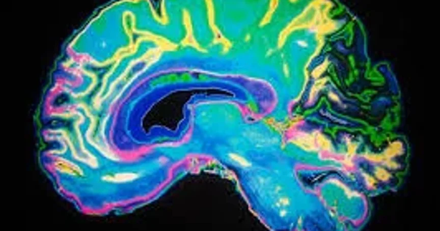 How Pornography Affects Your Brain [is porn good for you?]