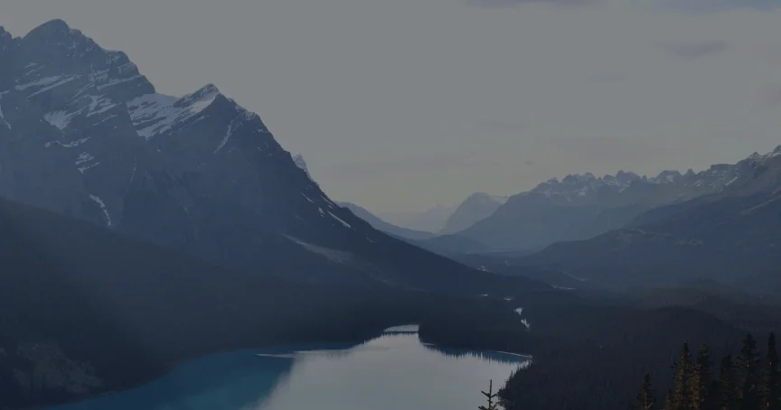 Porn Stats: Surprising Facts You Should Know